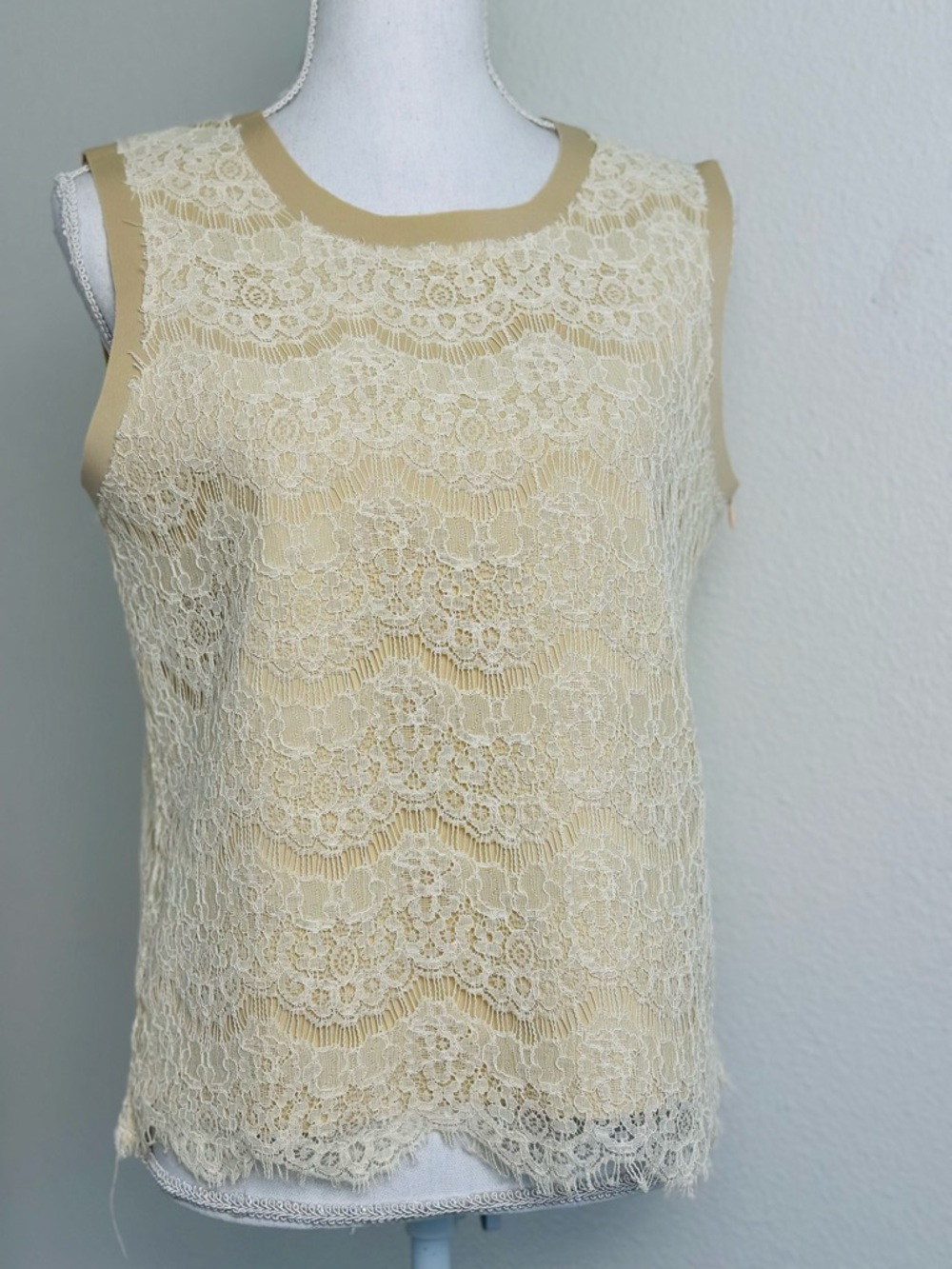 Hazelhaze Sleeveless Cream Lace Top Size Large